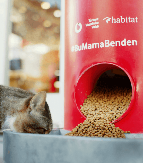VODAFONE INTERACTIVE PET FEEDING MACHINE - #BuMamaBenden